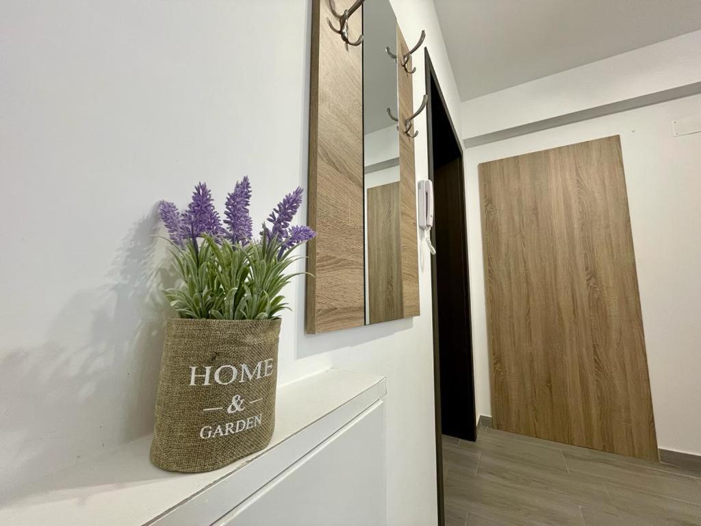 Belvedere Apartments Bucureşti Ngoại thất bức ảnh
