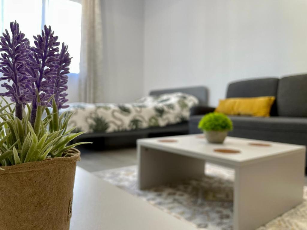Belvedere Apartments Bucureşti Ngoại thất bức ảnh